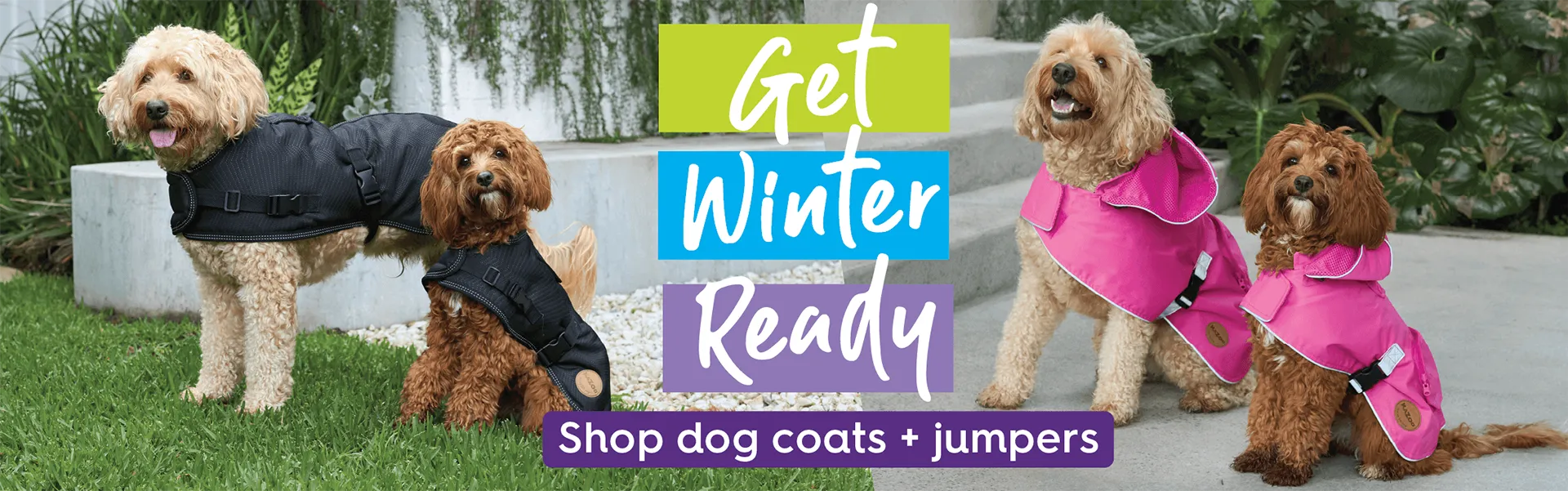Happy Pets, Stylish Homes