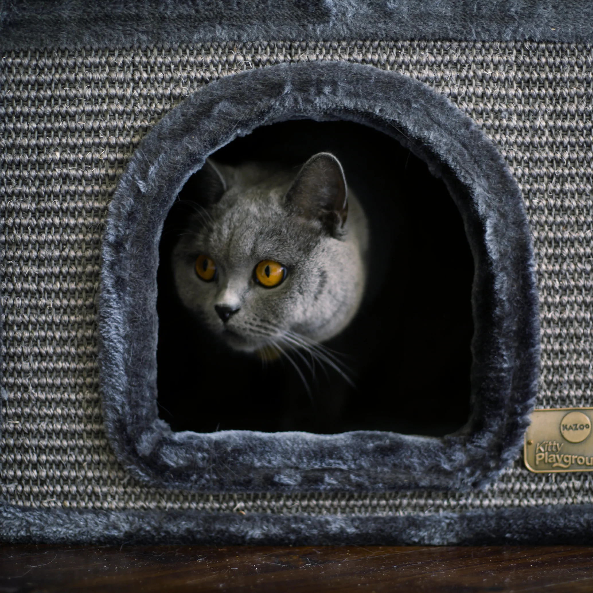 2 Chambers Cat Den - Charcoal - Image 7