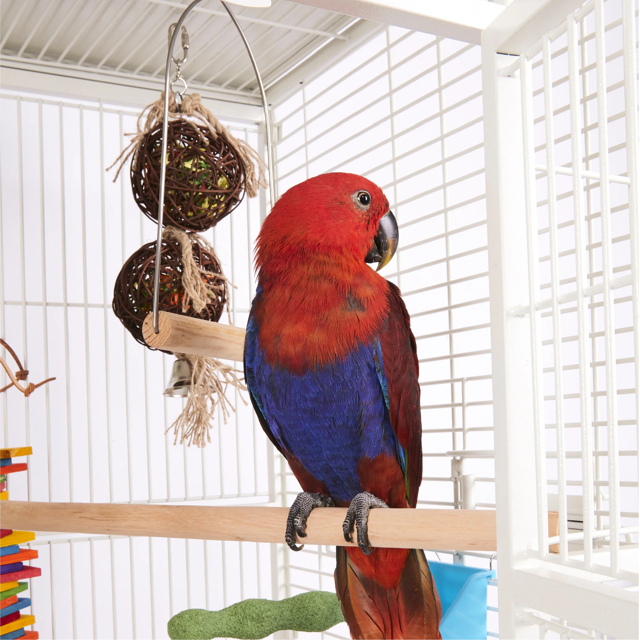 2 Piece Stacked Wicker Ball with Bell Bird Toy - Image 4