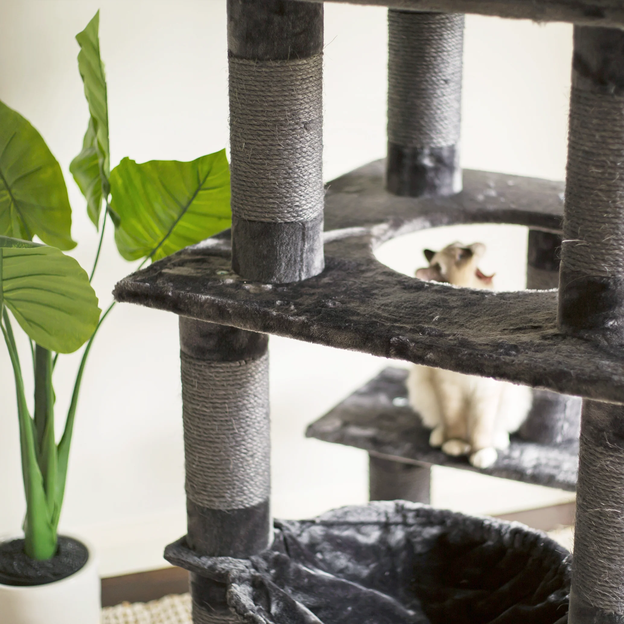 5 Level Cat Playground - Charcoal - Image 3