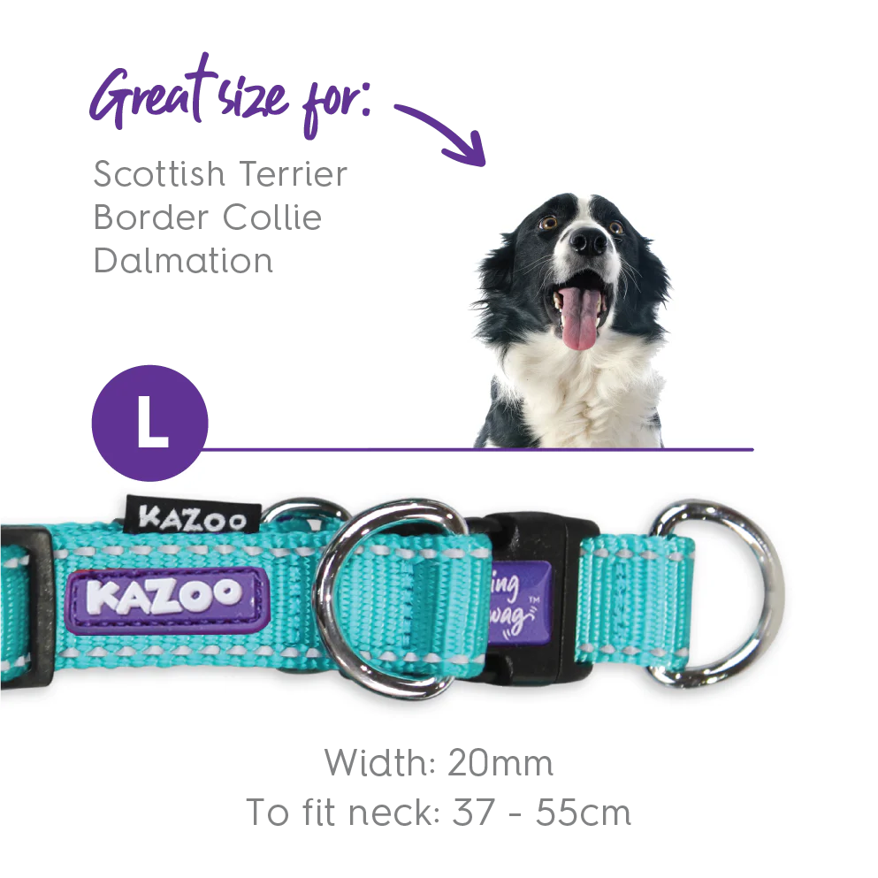 Active Easy-clip Dog Collar - Aqua & Purple - Image 10