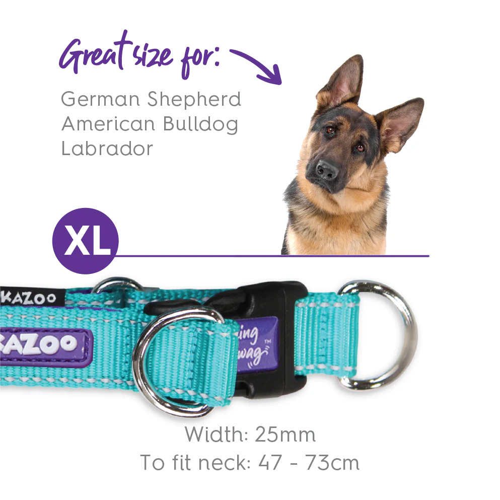 Active Easy-clip Dog Collar - Aqua & Purple - Image 11