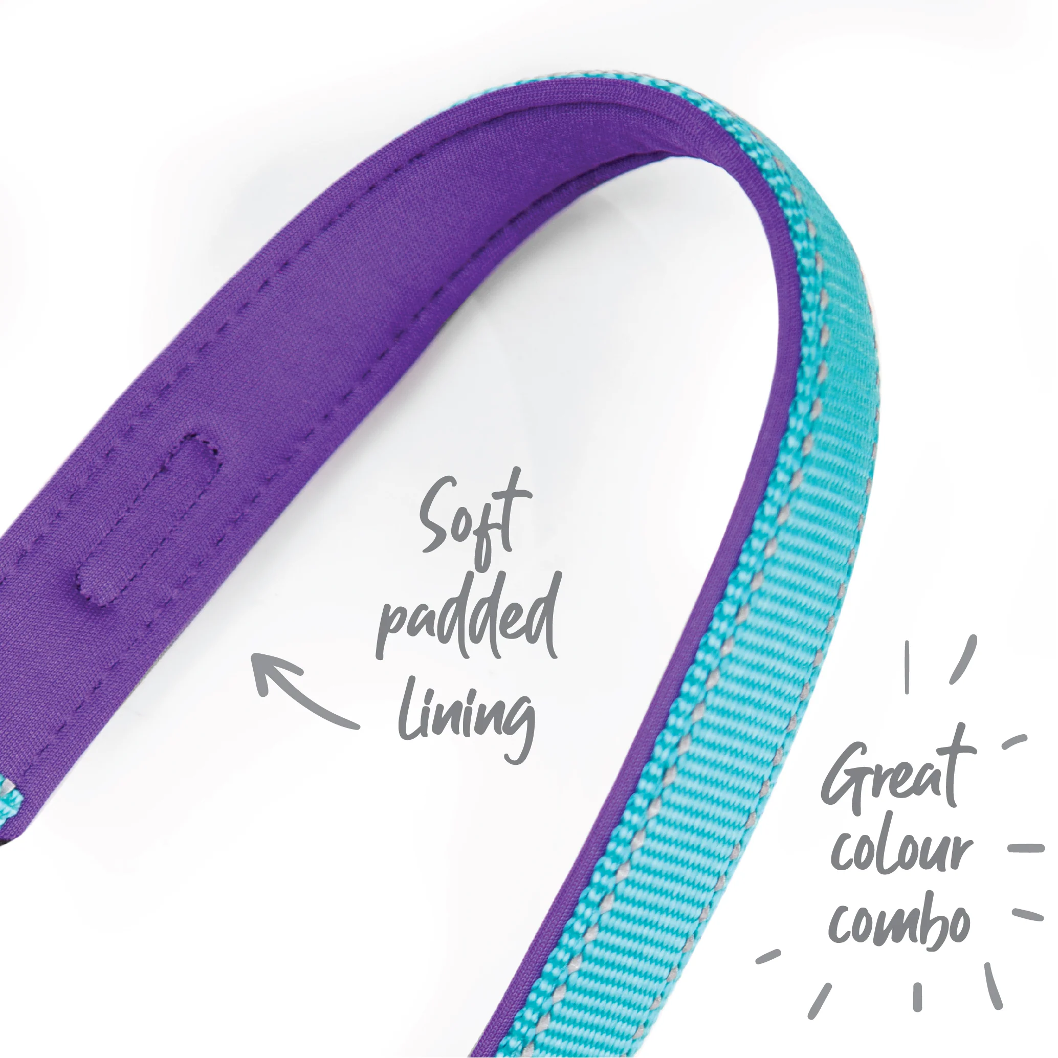 Active Easy-clip Dog Collar - Aqua & Purple - Image 5