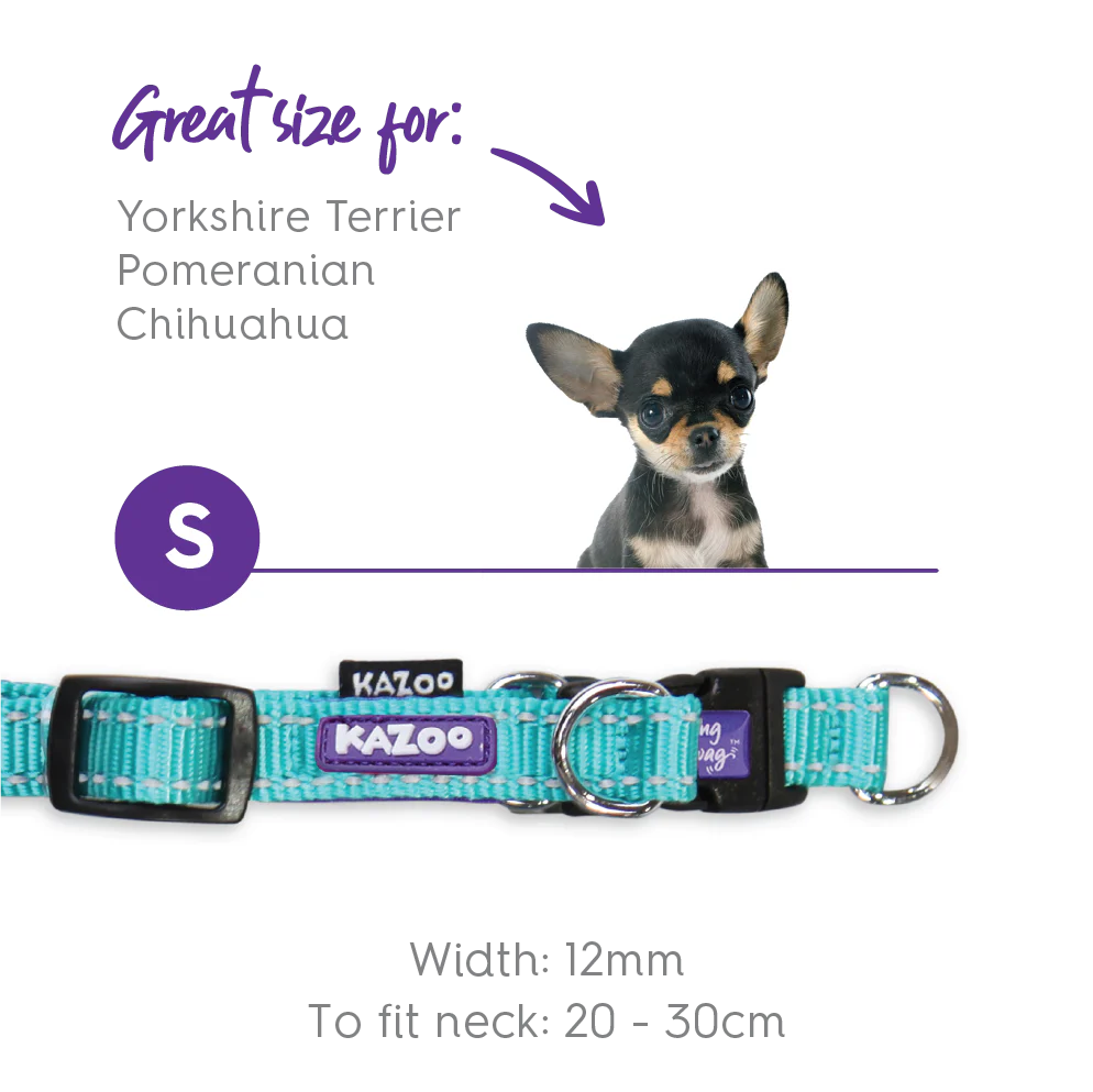 Active Easy-clip Dog Collar - Aqua & Purple - Image 8