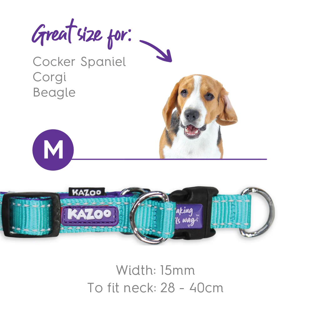 Active Easy-clip Dog Collar - Aqua & Purple - Image 9
