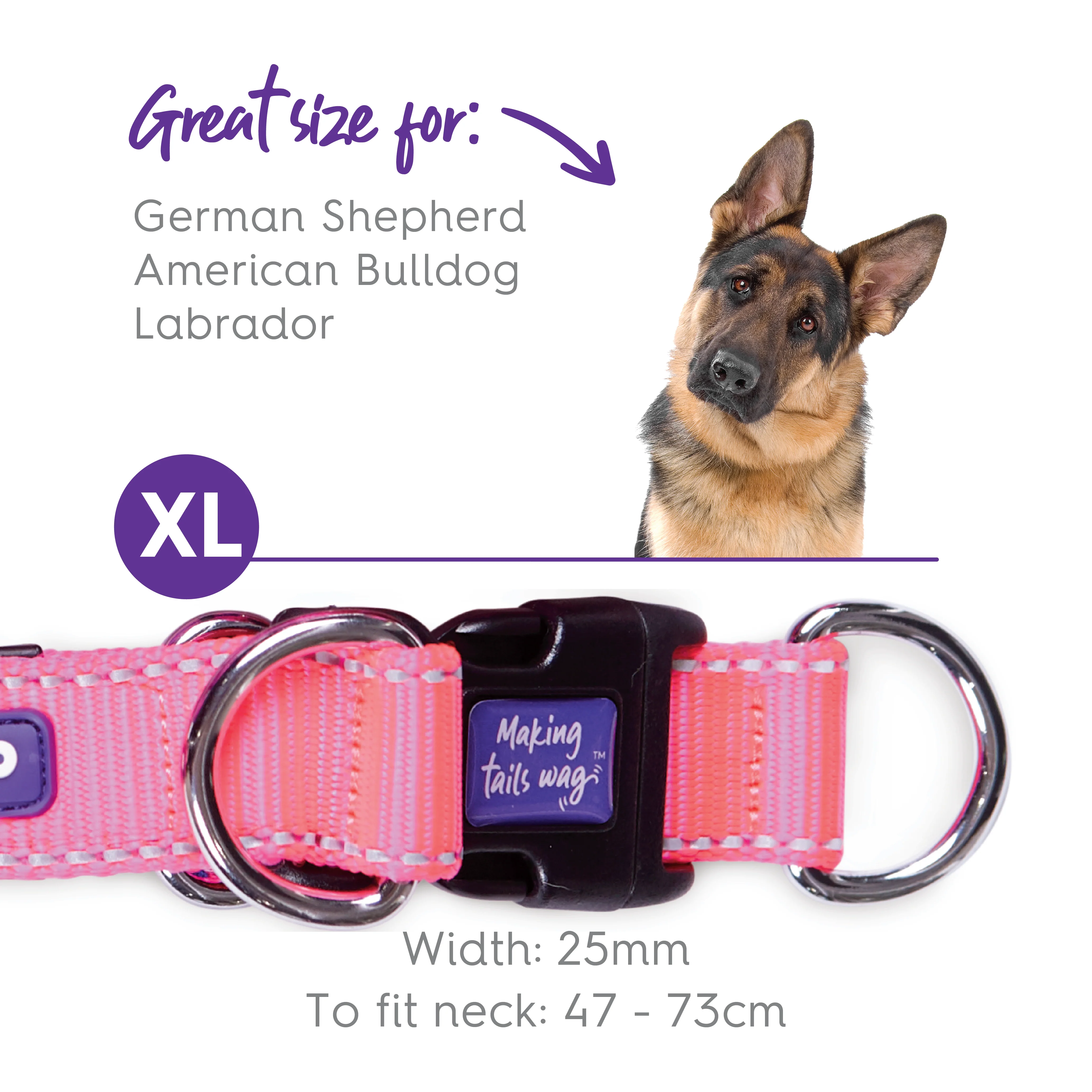 Active Easy-clip Dog Collar - Bloom Burst - Image 10