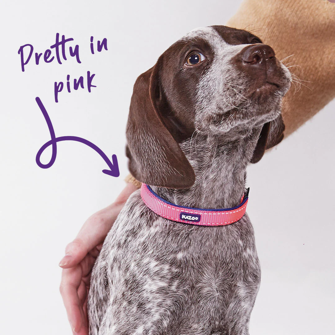Active Easy-clip Dog Collar - Bloom Burst - Image 2