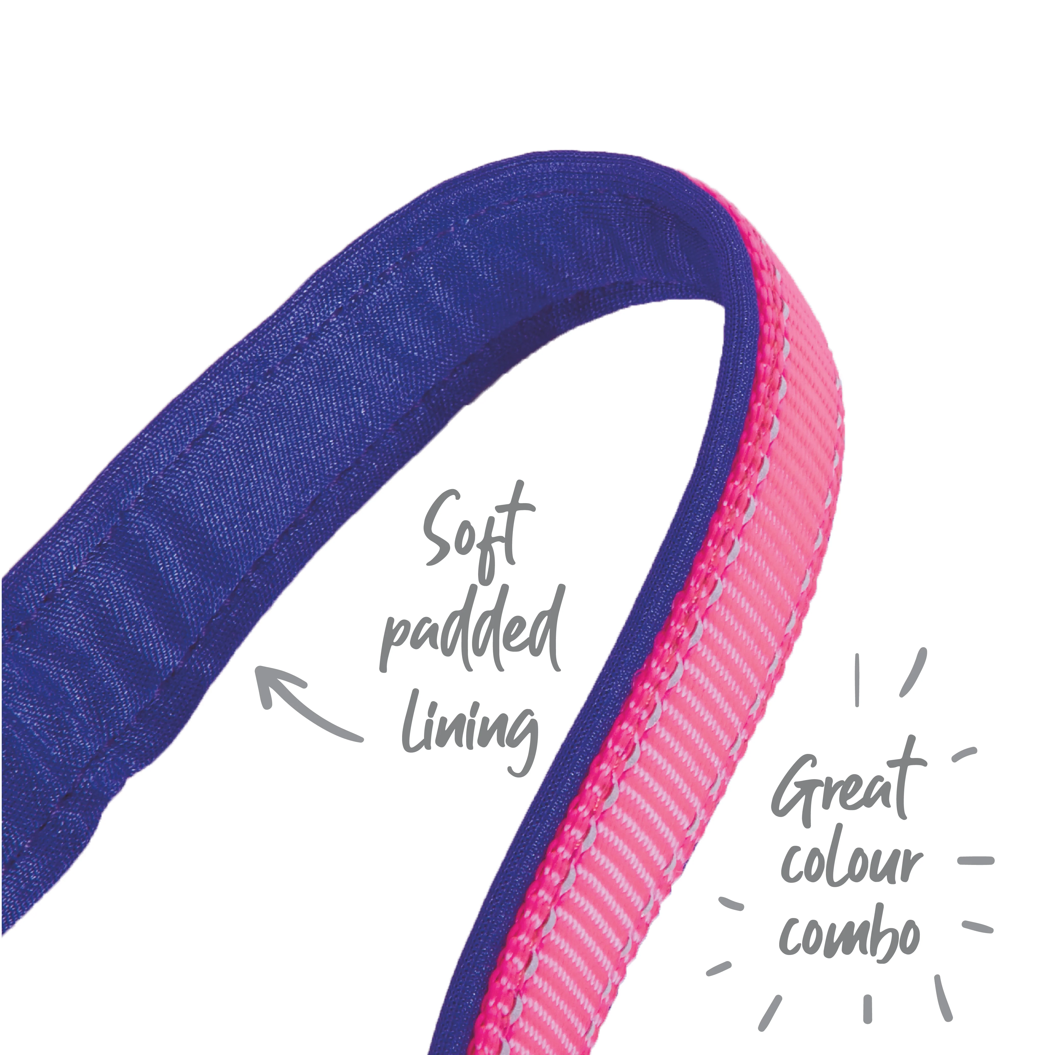Active Easy-clip Dog Collar - Bloom Burst - Image 4