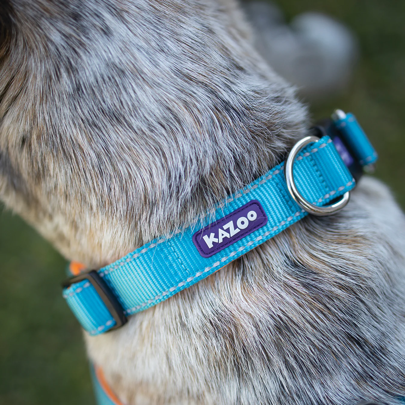Active Easy-clip Dog Collar - Ocean Sunrise - Image 2