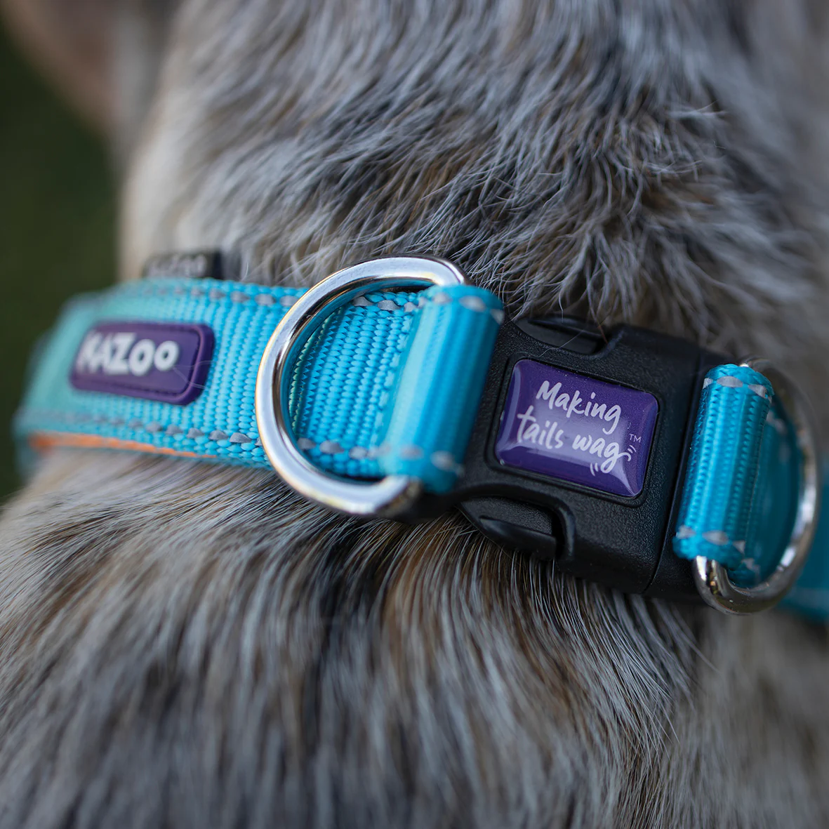 Active Easy-clip Dog Collar - Ocean Sunrise - Image 4