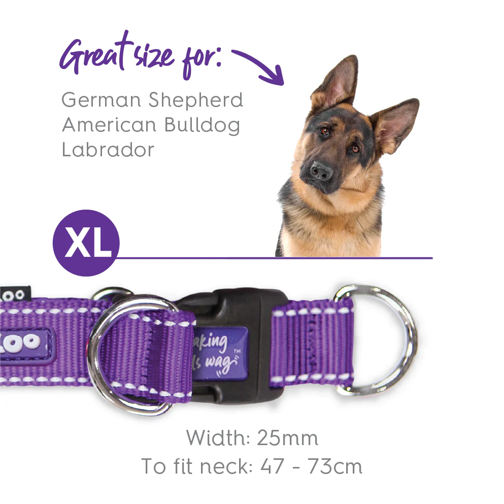 Active Easy-clip Dog Collar - Purple & Lime - Image 10