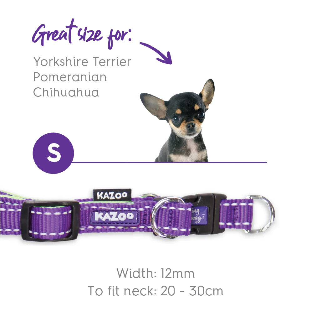 Active Easy-clip Dog Collar - Purple & Lime - Image 7