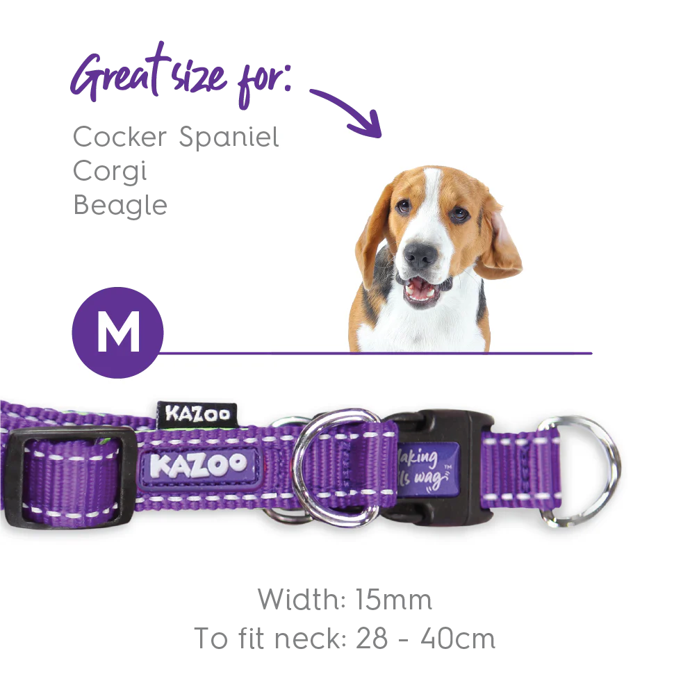Active Easy-clip Dog Collar - Purple & Lime - Image 8