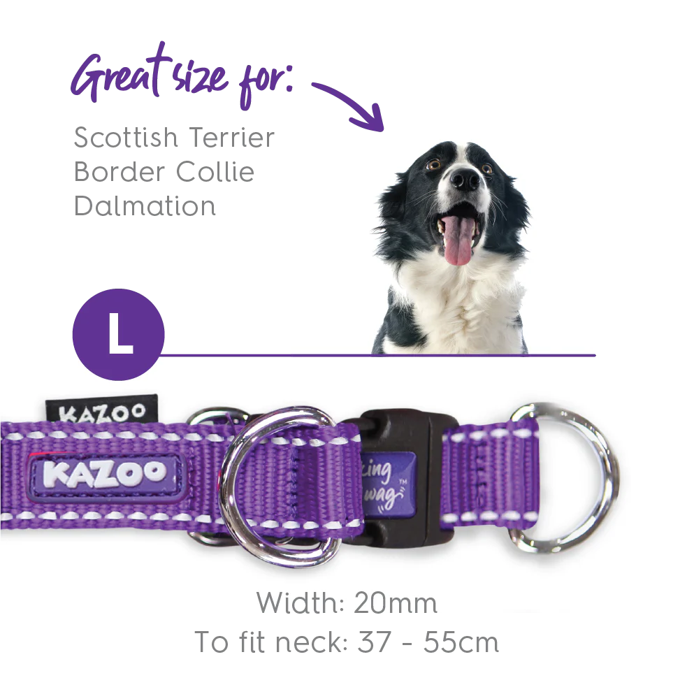 Active Easy-clip Dog Collar - Purple & Lime - Image 9