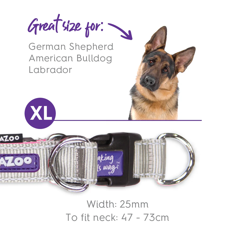 Active Easy-clip Dog Collar - Silver & Pink - Image 10