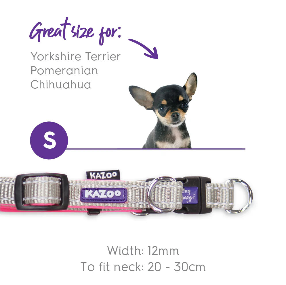 Active Easy-clip Dog Collar - Silver & Pink - Image 6