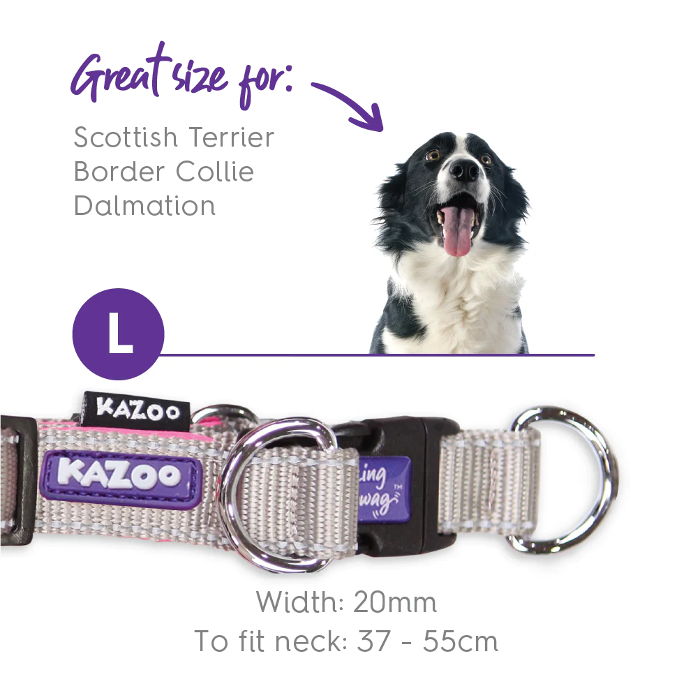 Active Easy-clip Dog Collar - Silver & Pink - Image 9