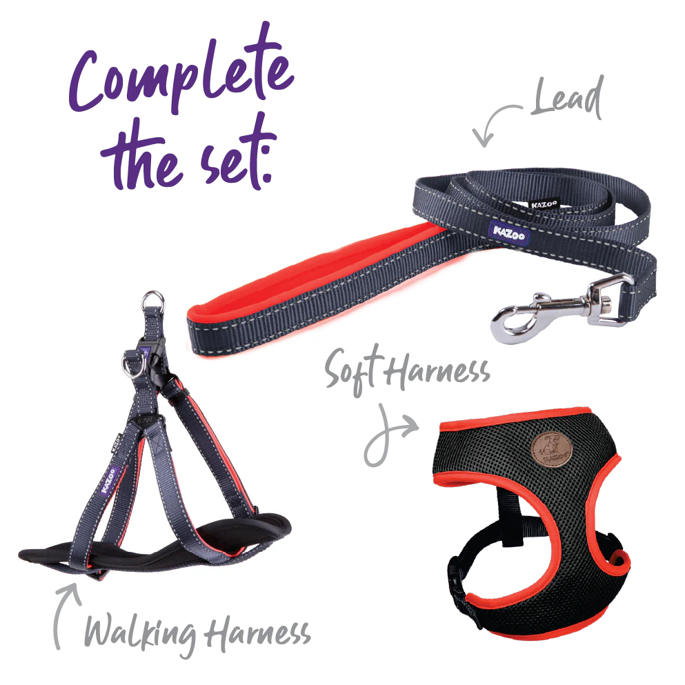 Active Easy-clip Dog Collar - Slate & Orange - Image 3
