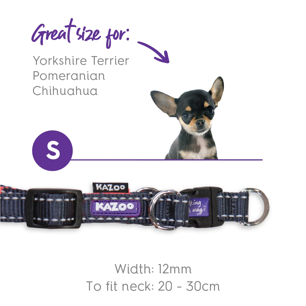 Active Easy-clip Dog Collar - Slate & Orange - Image 5