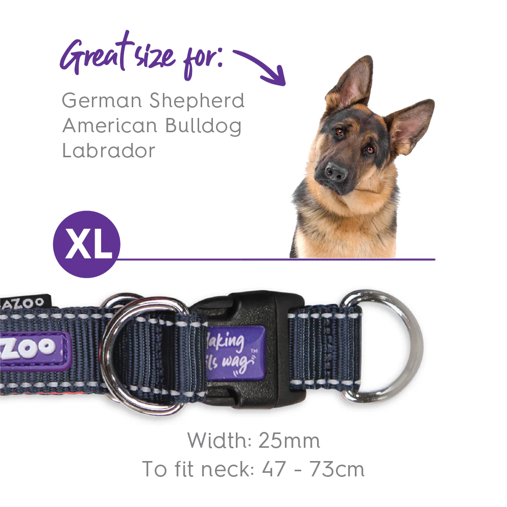 Active Easy-clip Dog Collar - Slate & Orange - Image 8
