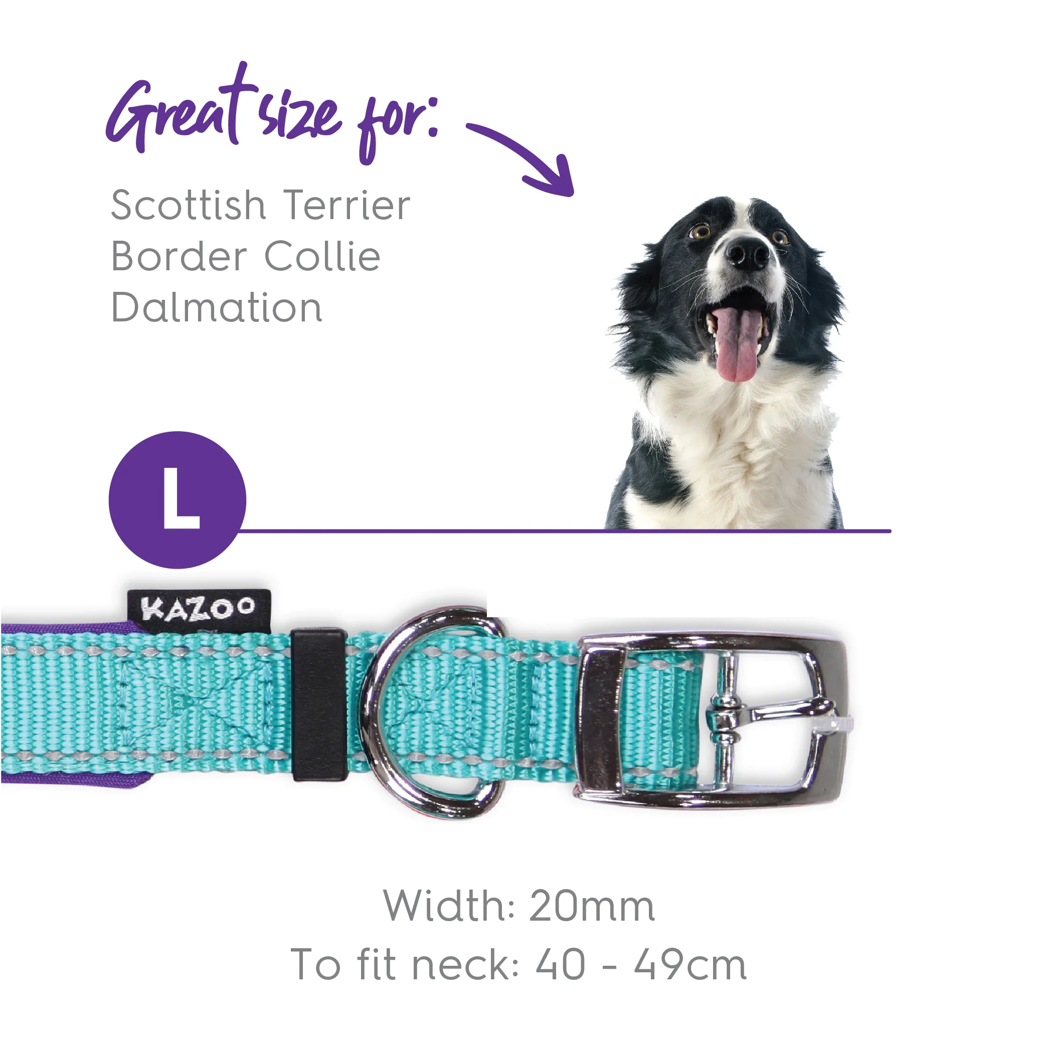 Active Dog Collar - Aqua & Purple - Image 10