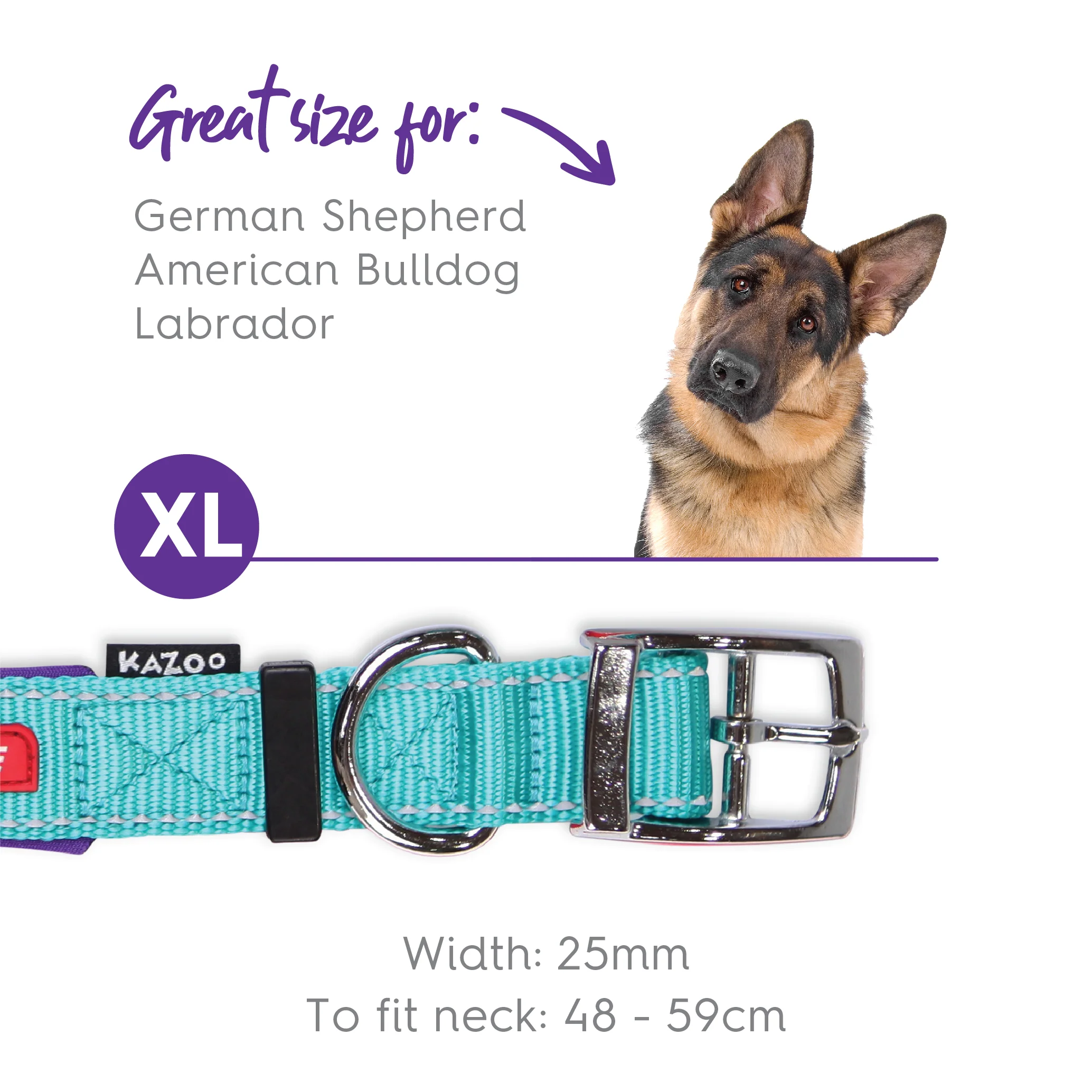 Active Dog Collar - Aqua & Purple - Image 11