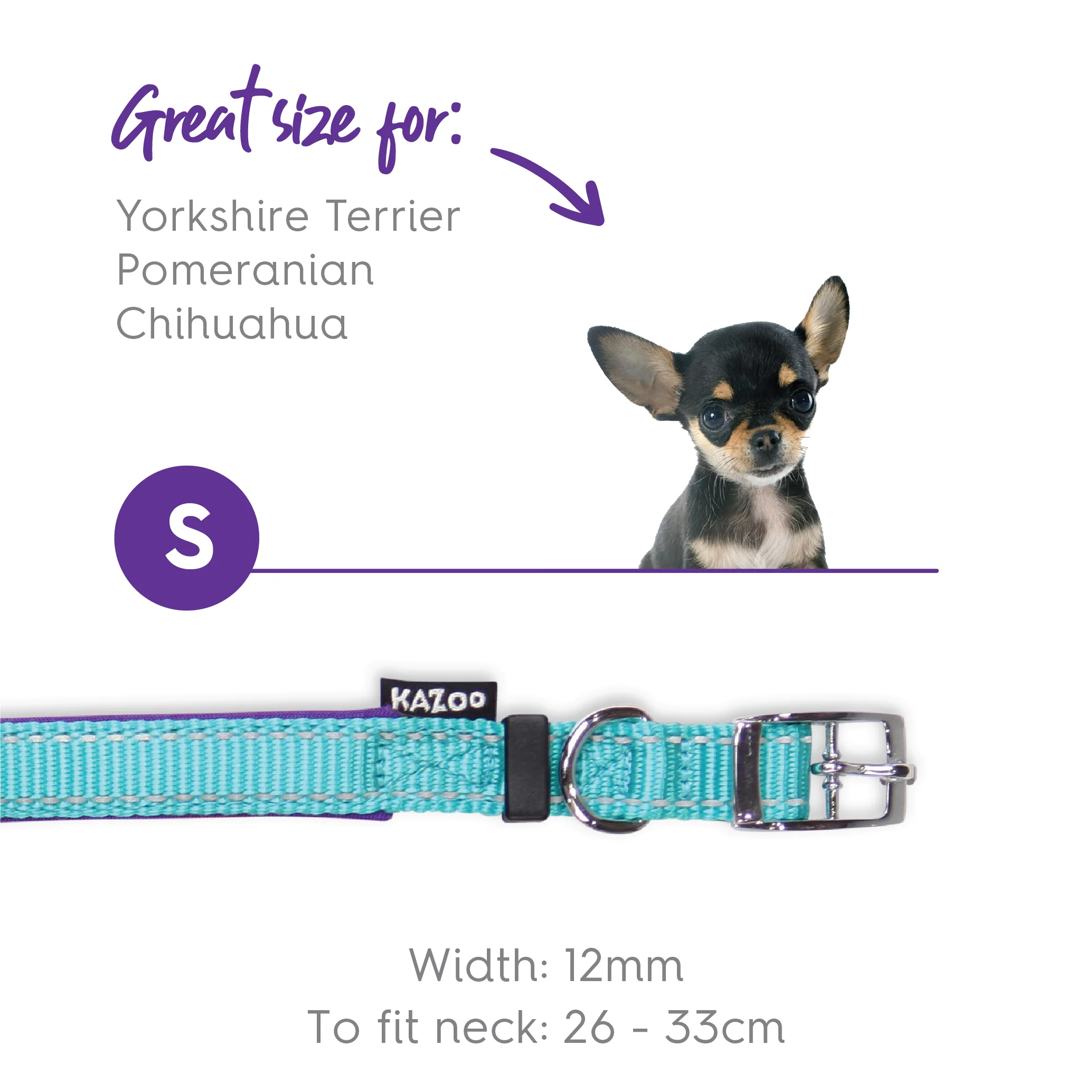 Active Dog Collar - Aqua & Purple - Image 8