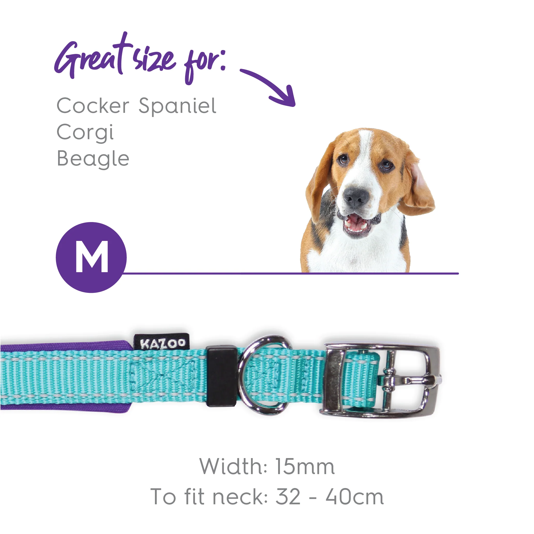 Active Dog Collar - Aqua & Purple - Image 9
