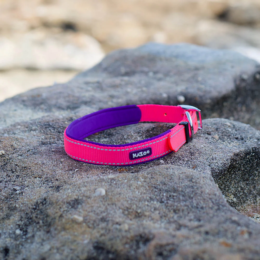Active Dog Collar - Bloom Burst - Image 3
