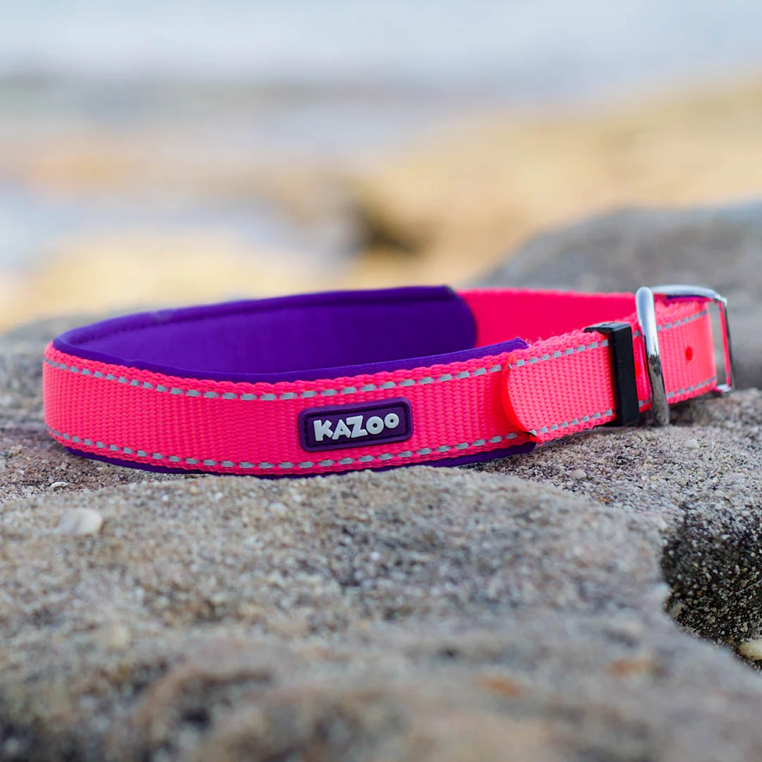 Active Dog Collar - Bloom Burst - Image 6