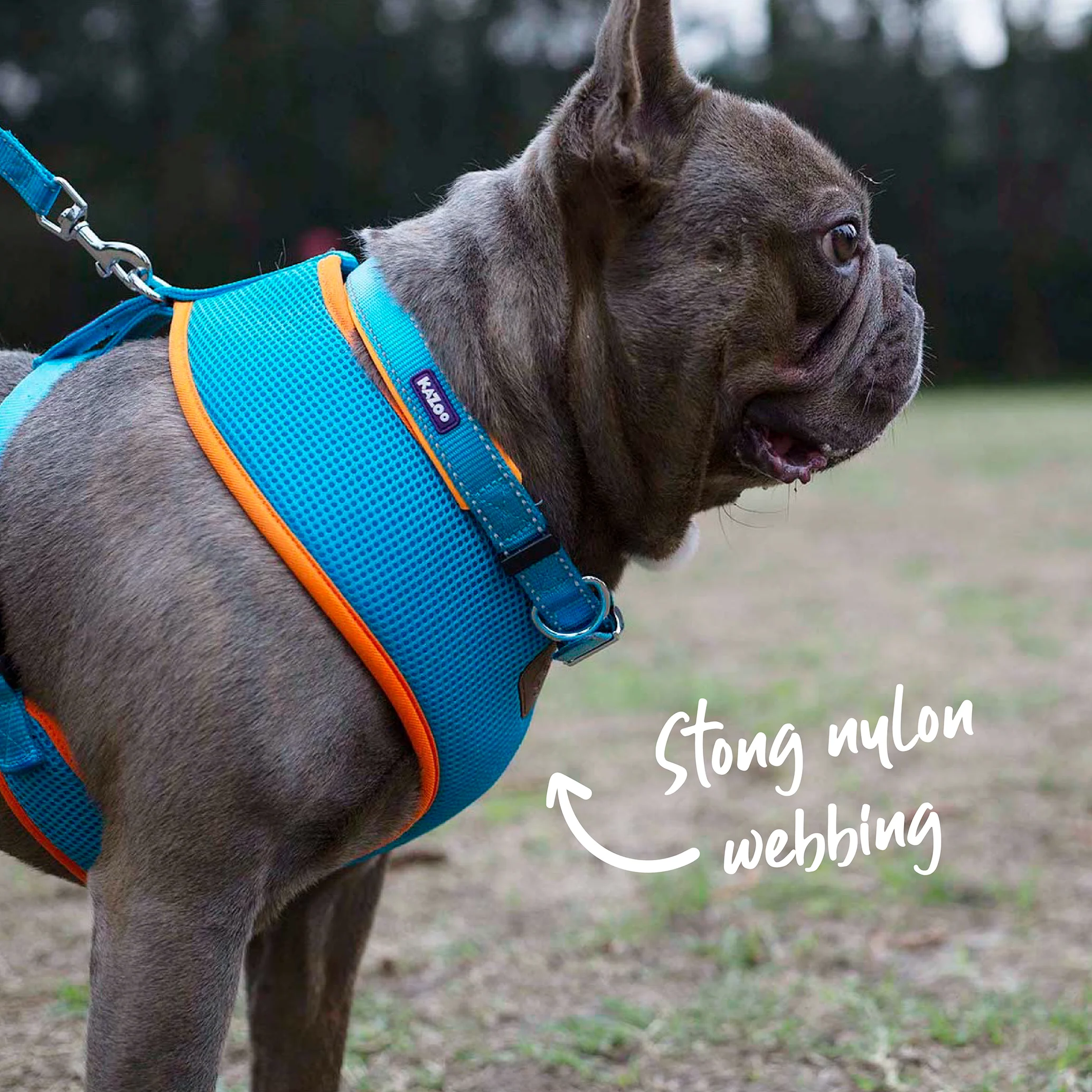 Active Dog Collar - Ocean Sunrise - Image 6
