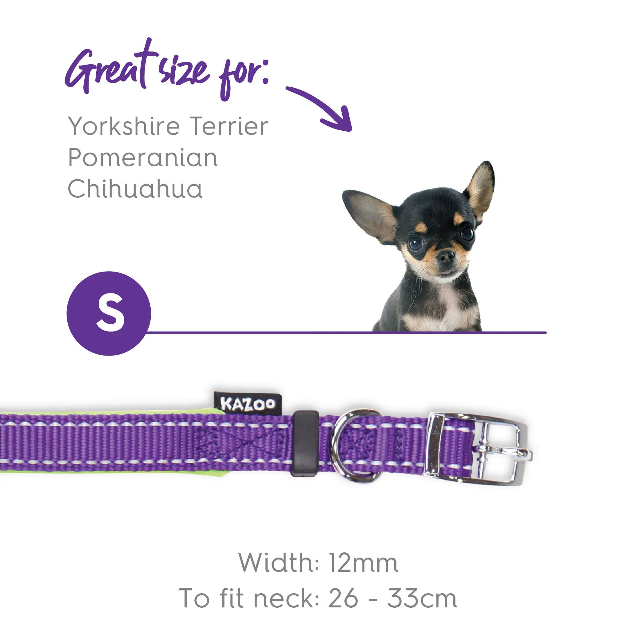 Active Dog Collar - Purple & Lime - Image 11
