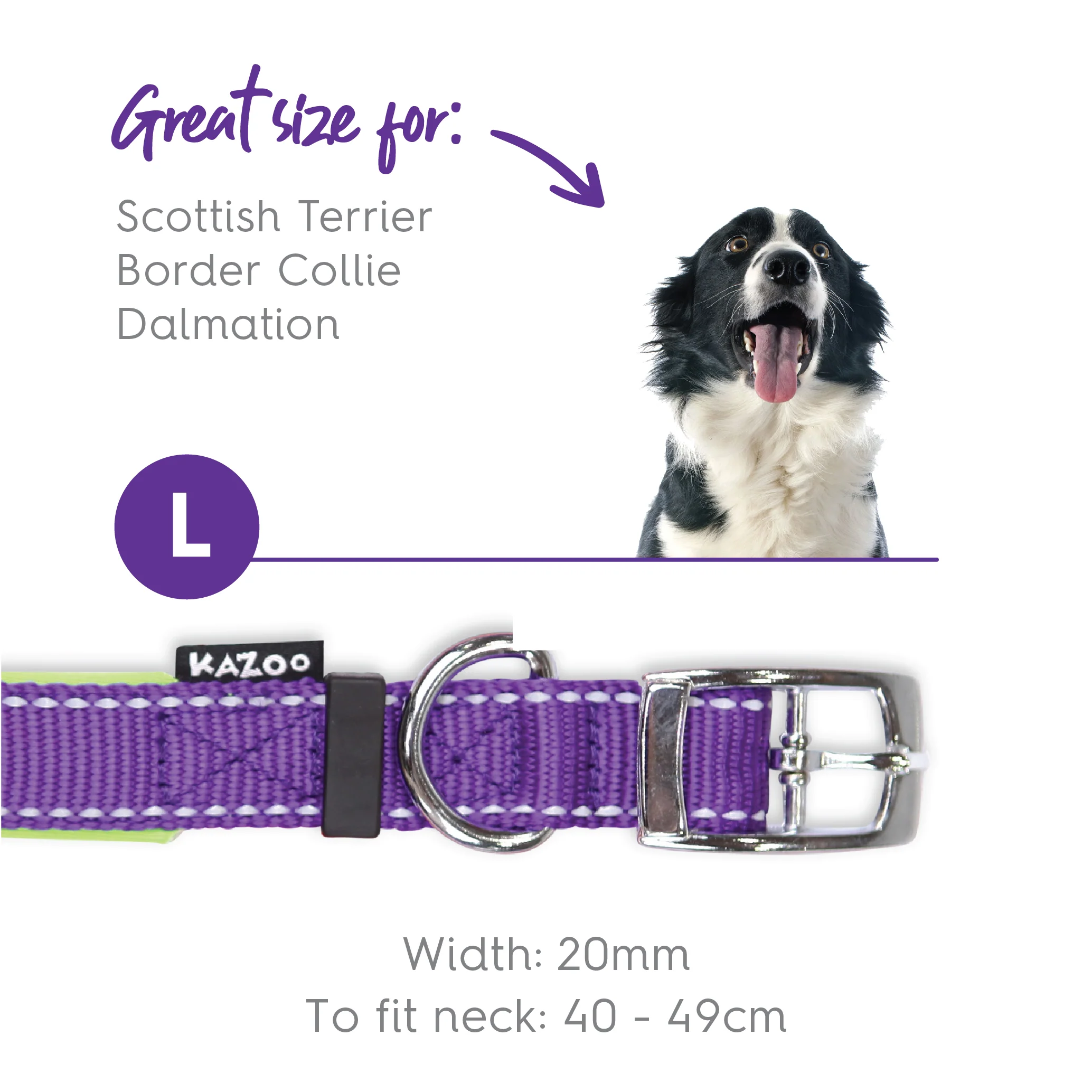 Active Dog Collar - Purple & Lime - Image 12