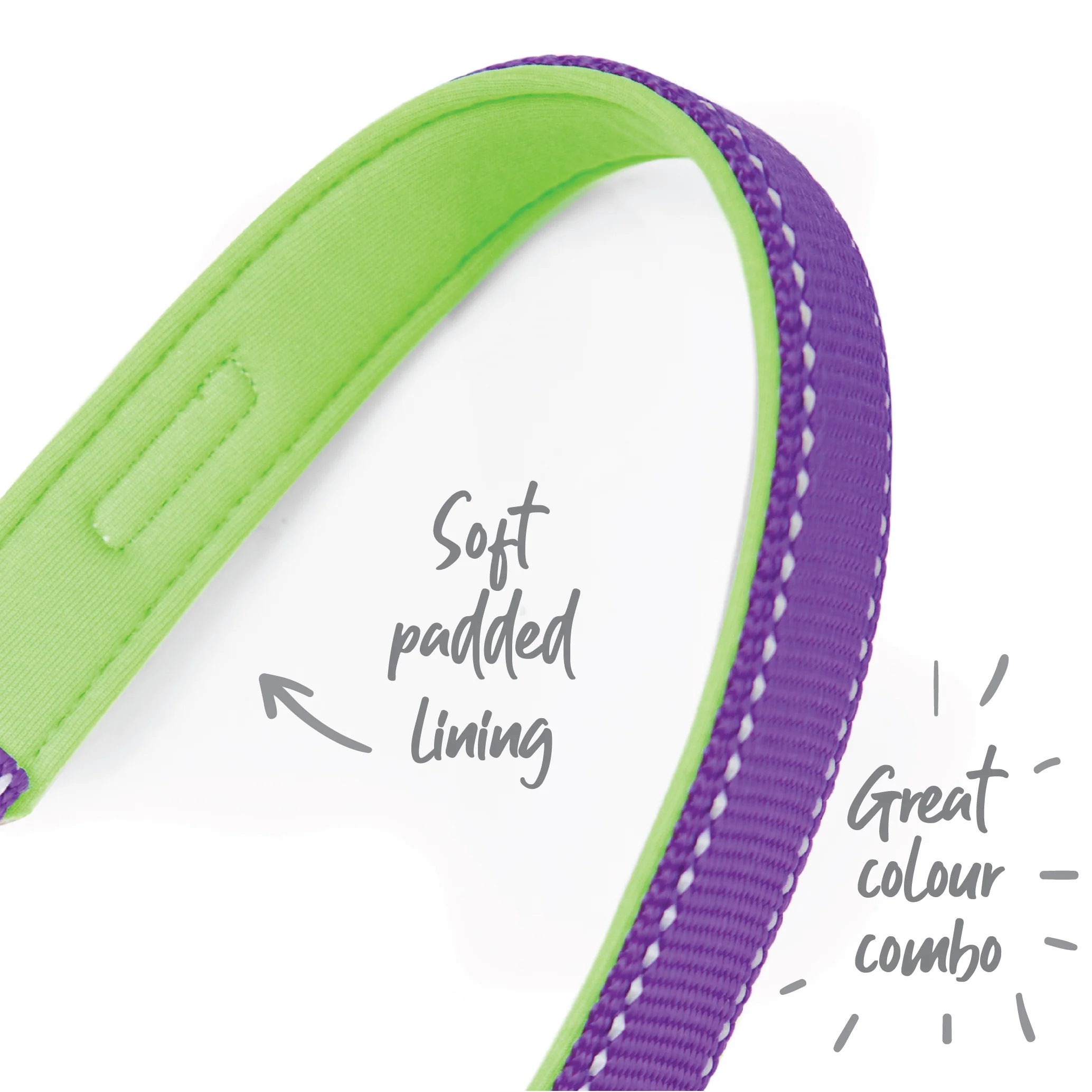 Active Dog Collar - Purple & Lime - Image 8