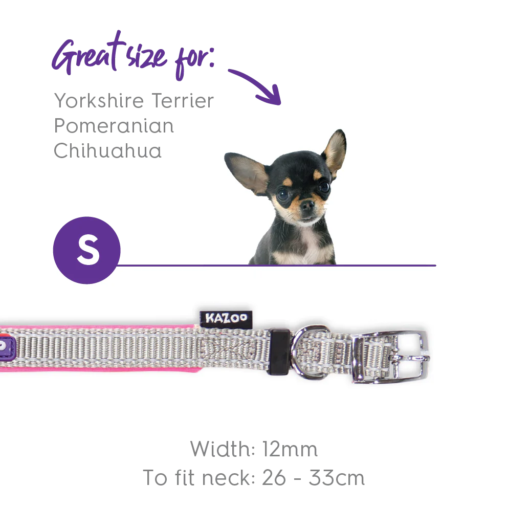 Active Dog Collar - Silver & Pink - Image 6