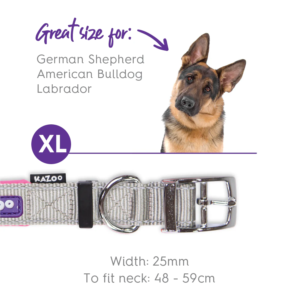 Active Dog Collar - Silver & Pink - Image 9