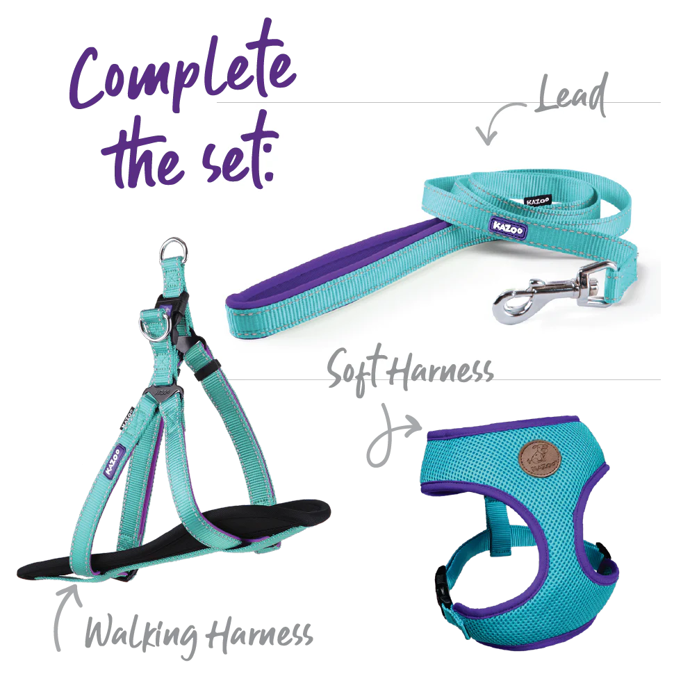 Active Dog Lead - Aqua & Purple - Image 5