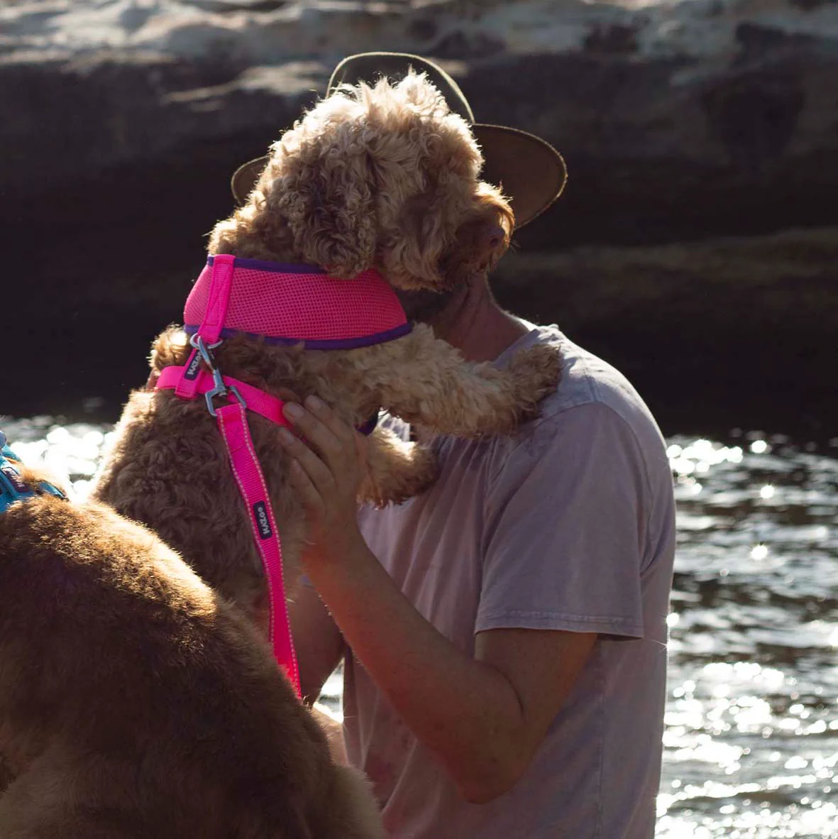 Active Dog Lead - Bloom Burst - Image 9
