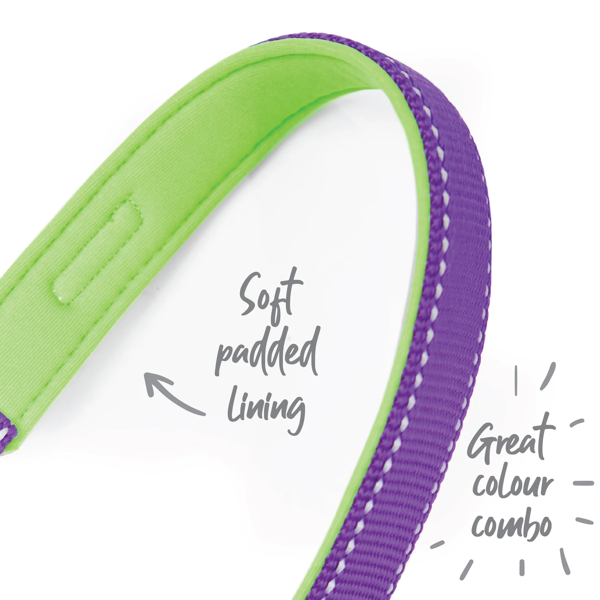 Active Dog Lead - Purple & Lime - Image 10