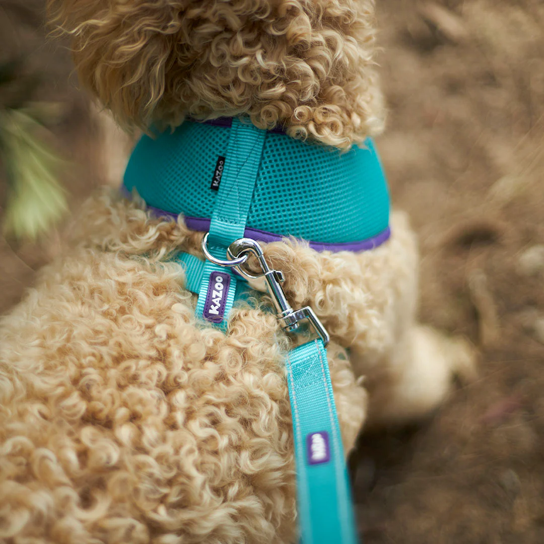 Active Soft Walking Dog Harness - Aqua & Purple - Image 5