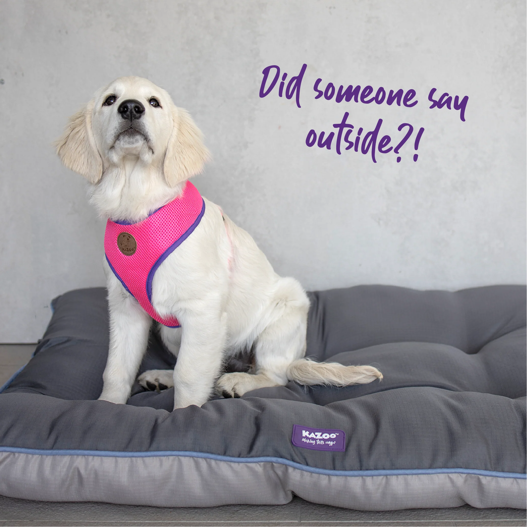 Active Soft Walking Dog Harness - Bloom Burst - Image 5