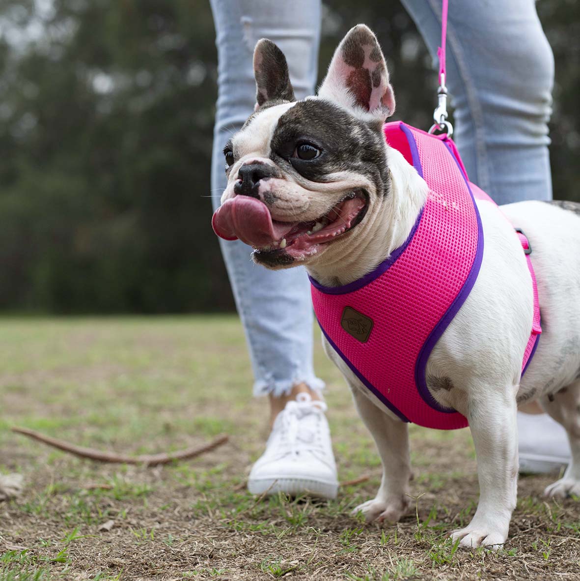 Active Soft Walking Dog Harness - Bloom Burst - Image 6