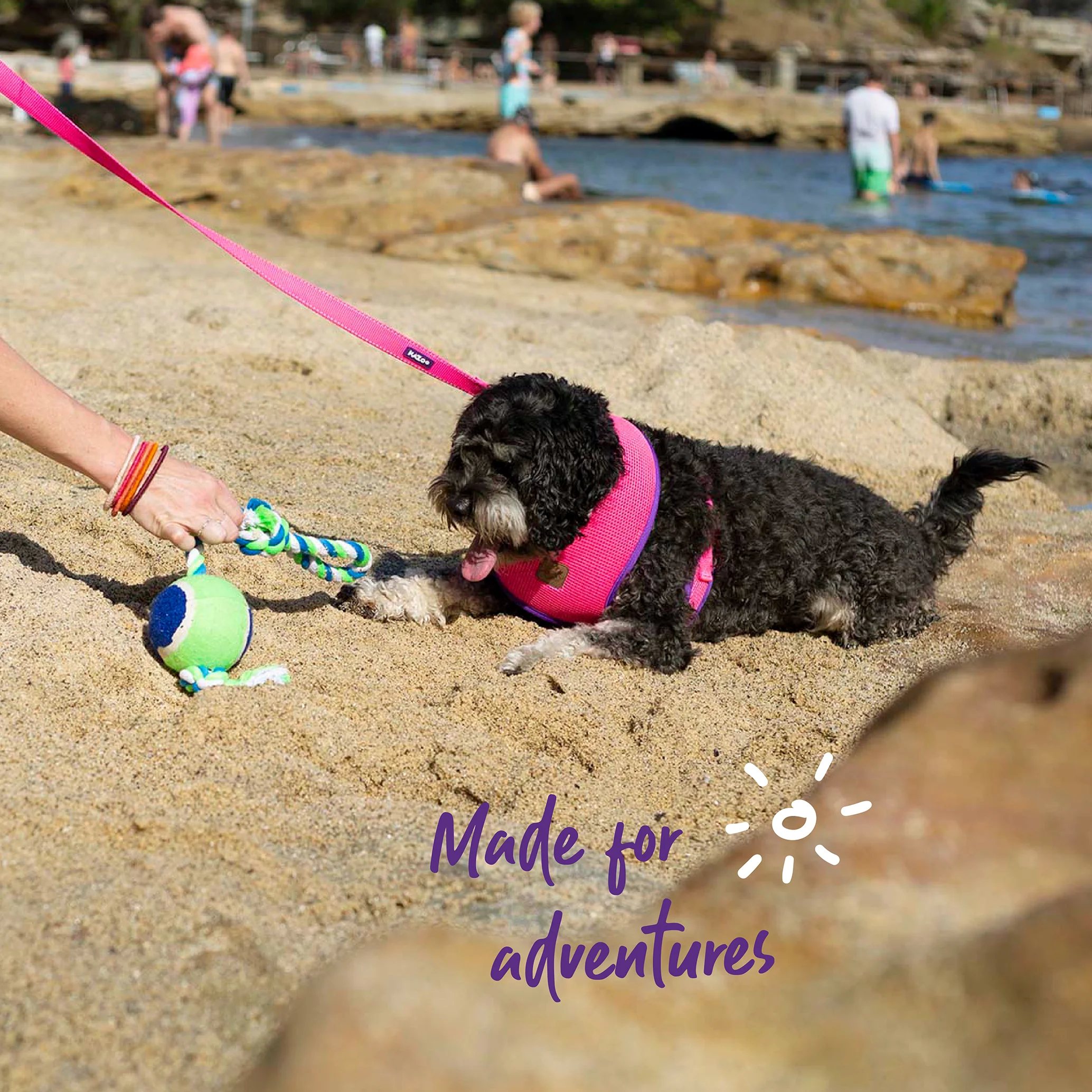 Active Soft Walking Dog Harness - Bloom Burst - Image 8