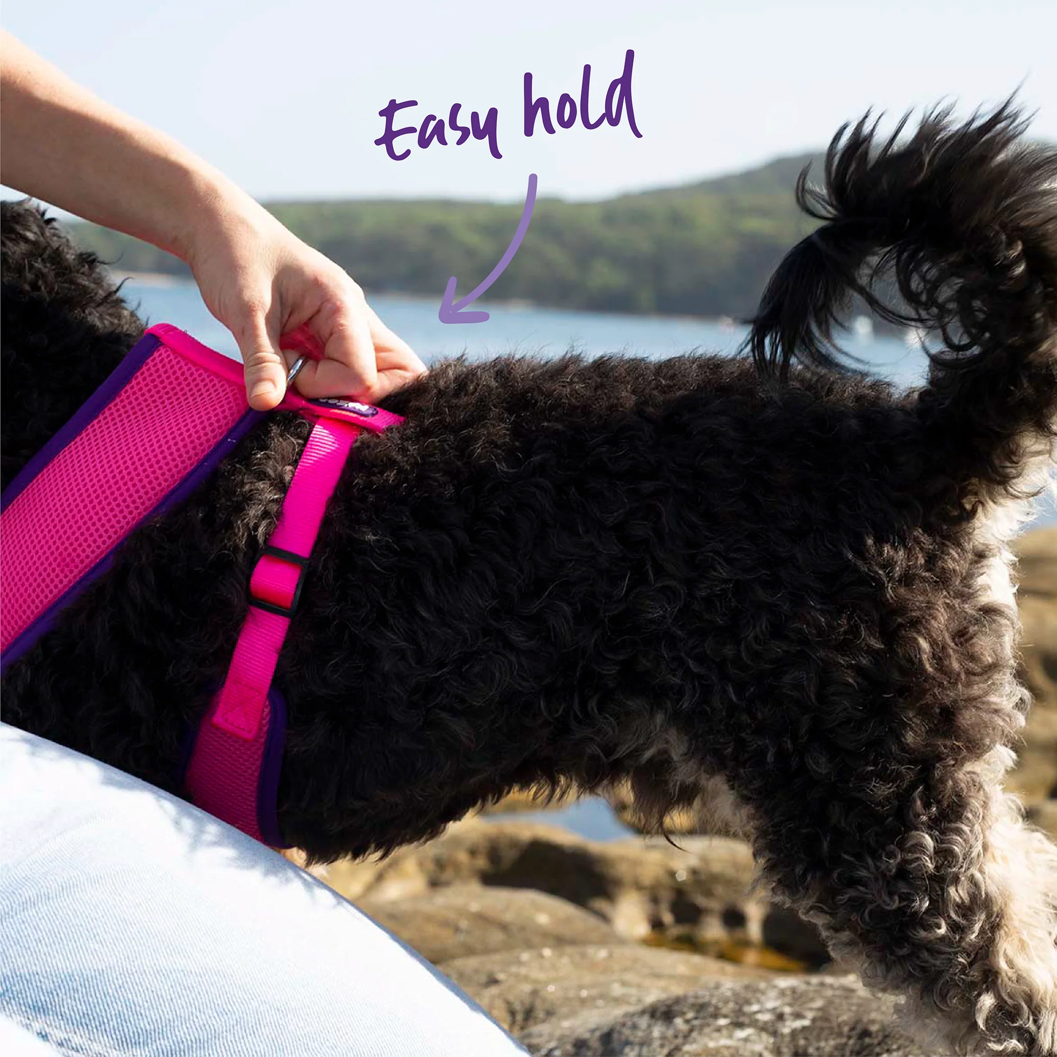 Active Soft Walking Dog Harness - Bloom Burst - Image 9