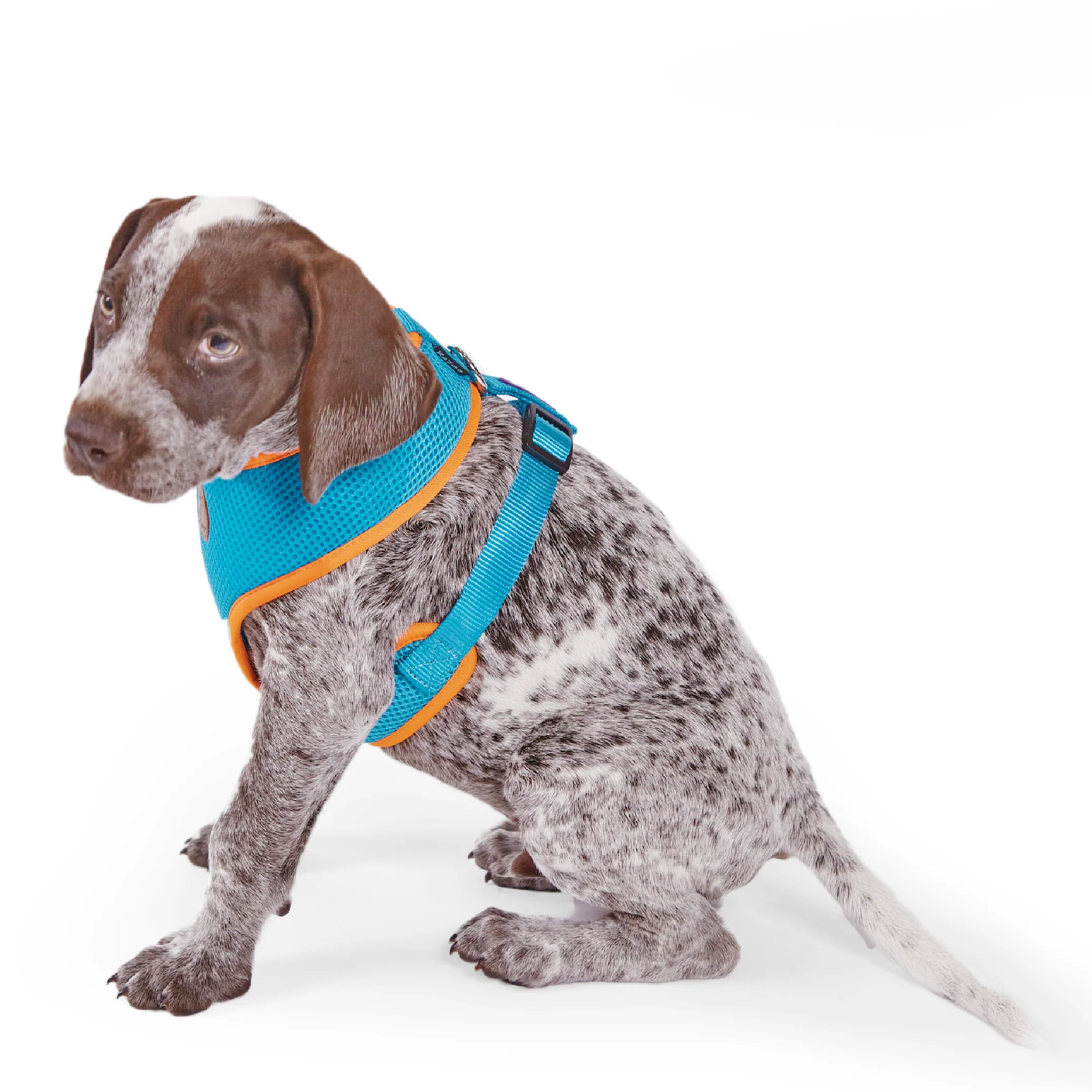 Active Soft Walking Dog Harness - Ocean Sunrise - Image 5
