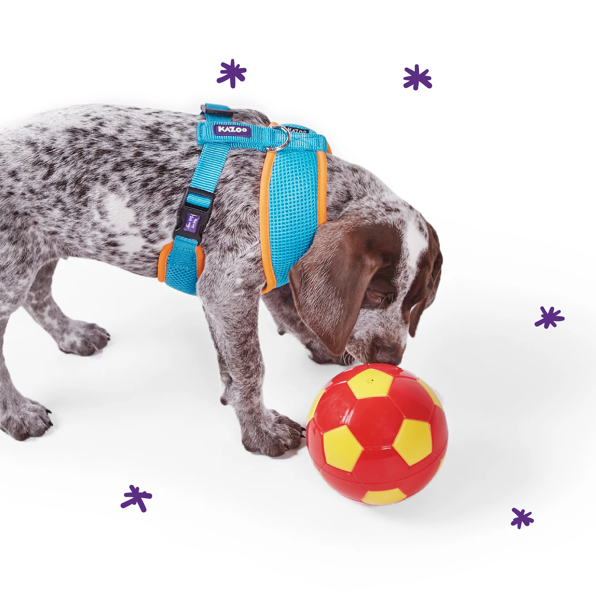 Active Soft Walking Dog Harness - Ocean Sunrise - Image 7