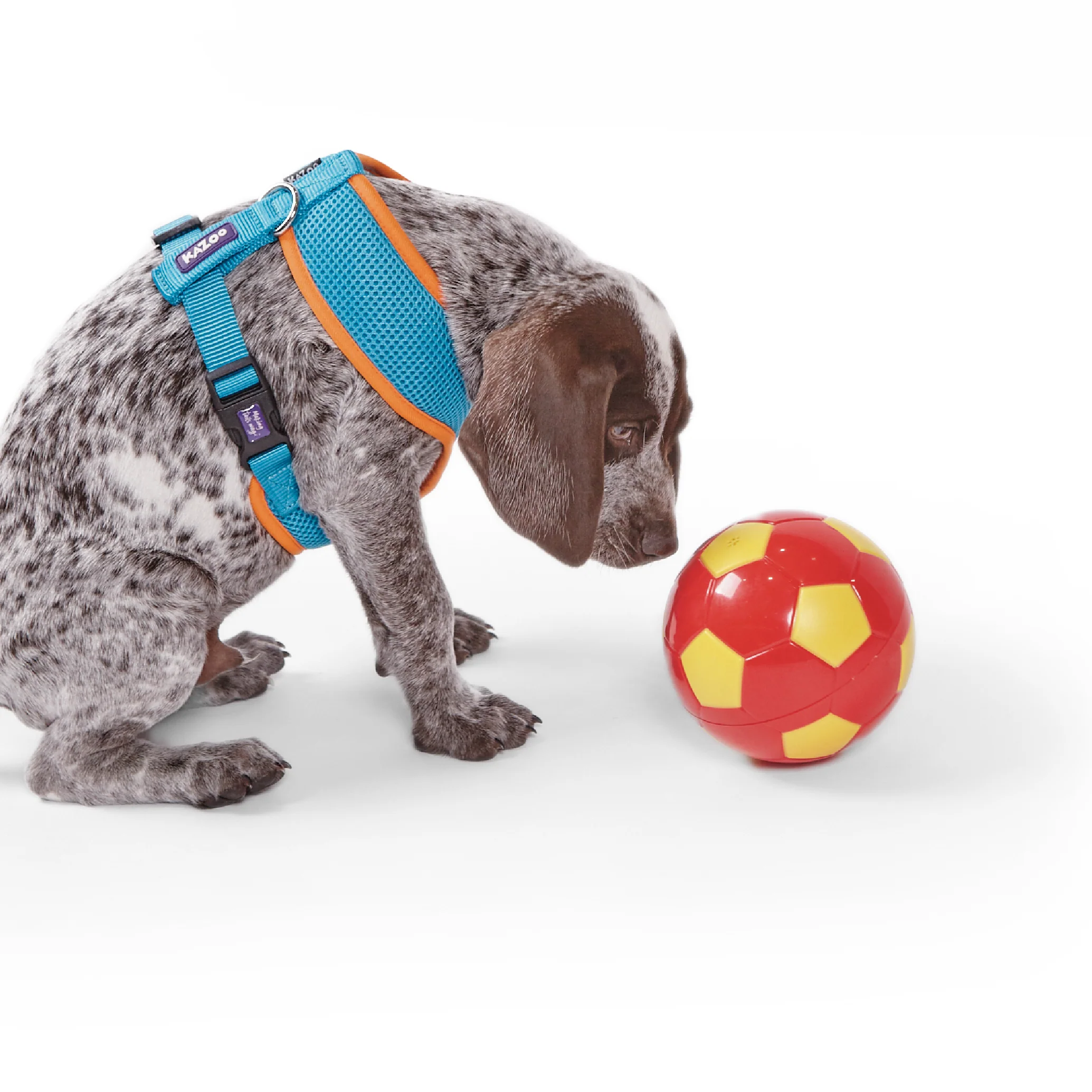 Active Soft Walking Dog Harness - Ocean Sunrise - Image 8