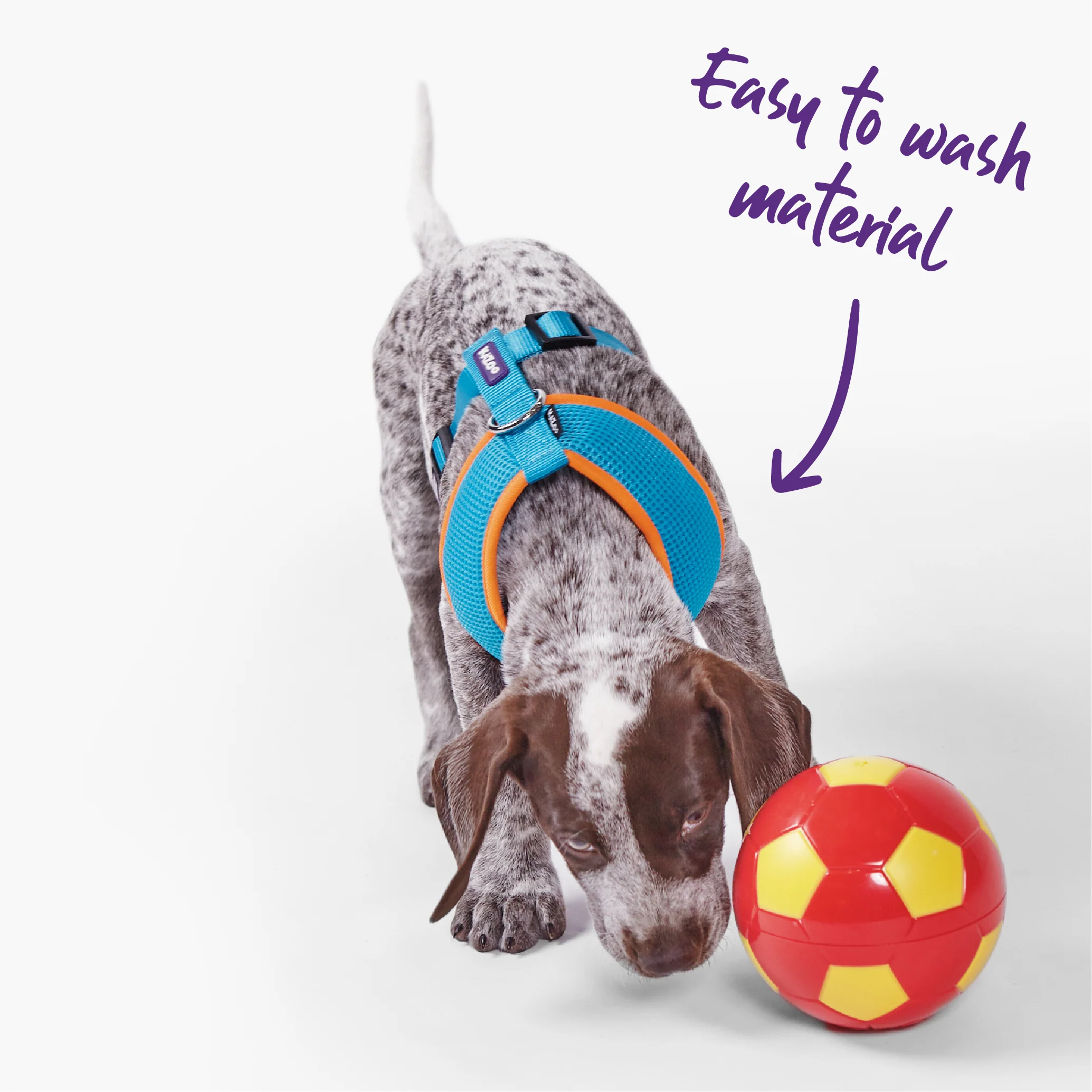 Active Soft Walking Dog Harness - Ocean Sunrise - Image 9