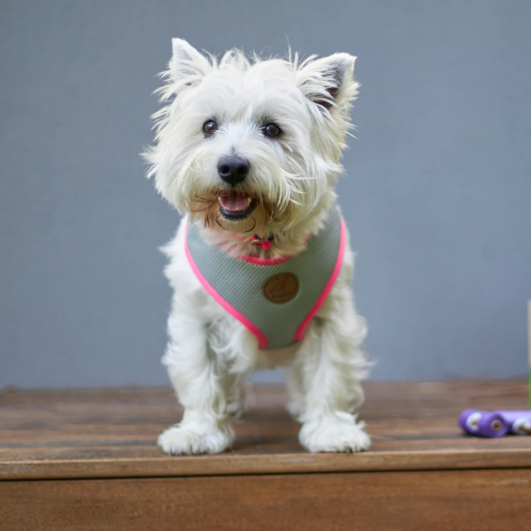 Active Soft Walking Dog Harness - Silver & Pink - Image 11