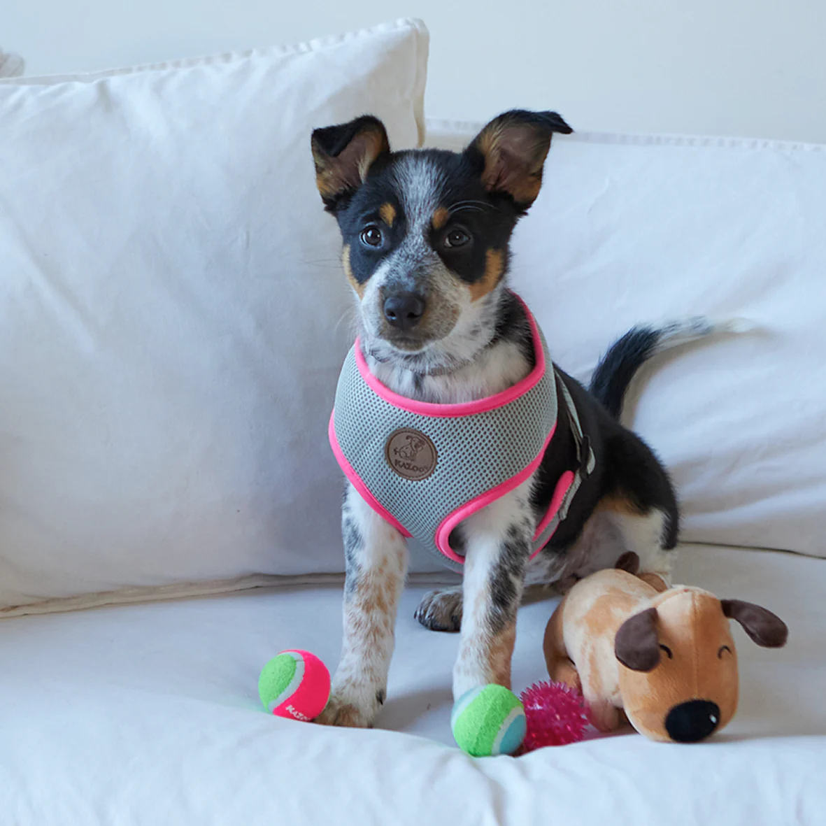 Active Soft Walking Dog Harness - Silver & Pink - Image 4